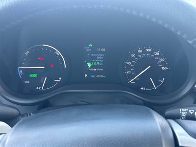 2021 Toyota Sienna XLE 8 Passenger