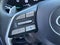 2024 Hyundai Palisade SEL 7 Passenger